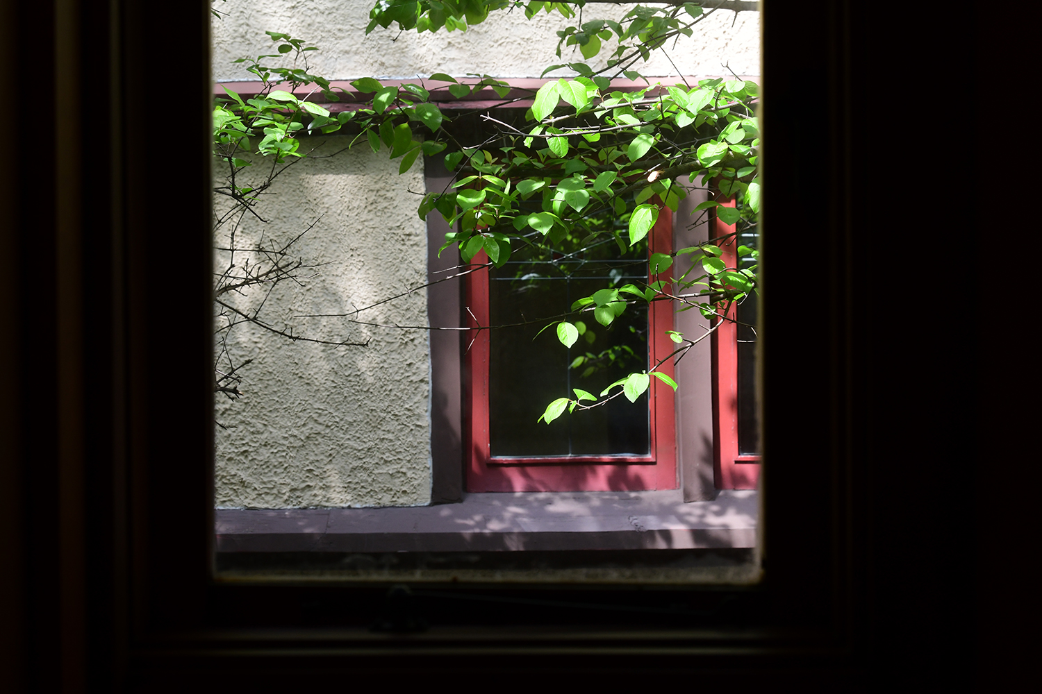LR DSC_3537.jpg