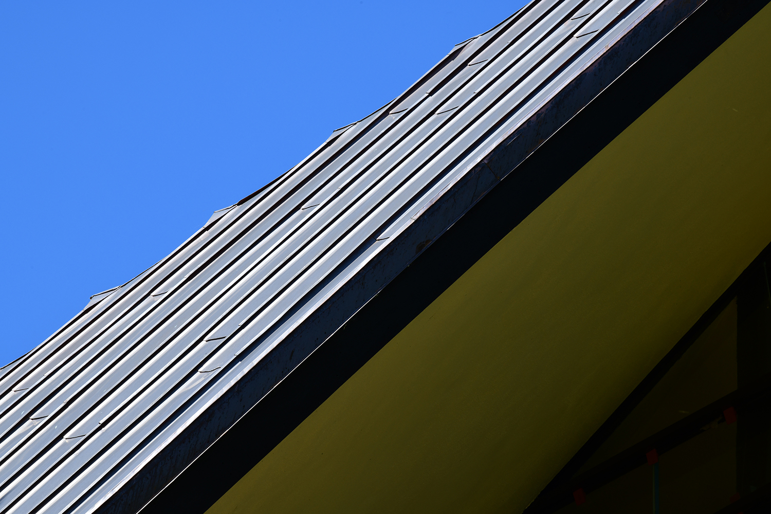 DSC_3969.jpg