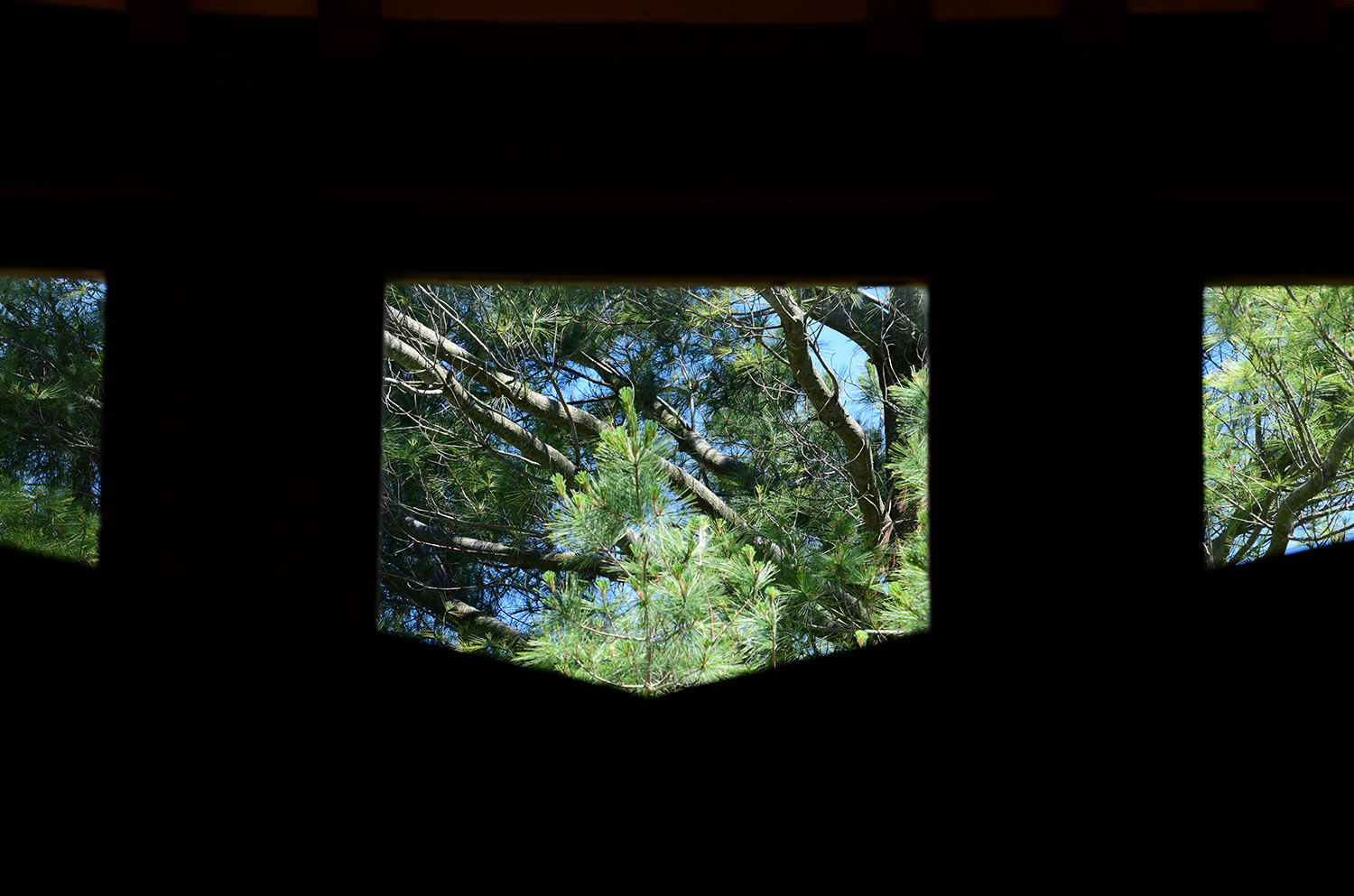 DSC_4040.jpg