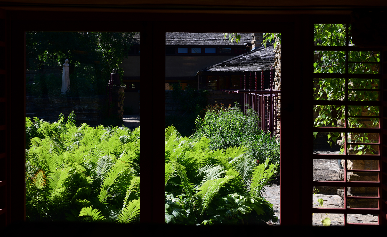 DSC_4077.jpg