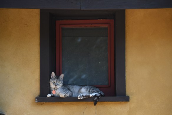 LR Percy Hamblen 9.9.22 002.jpg