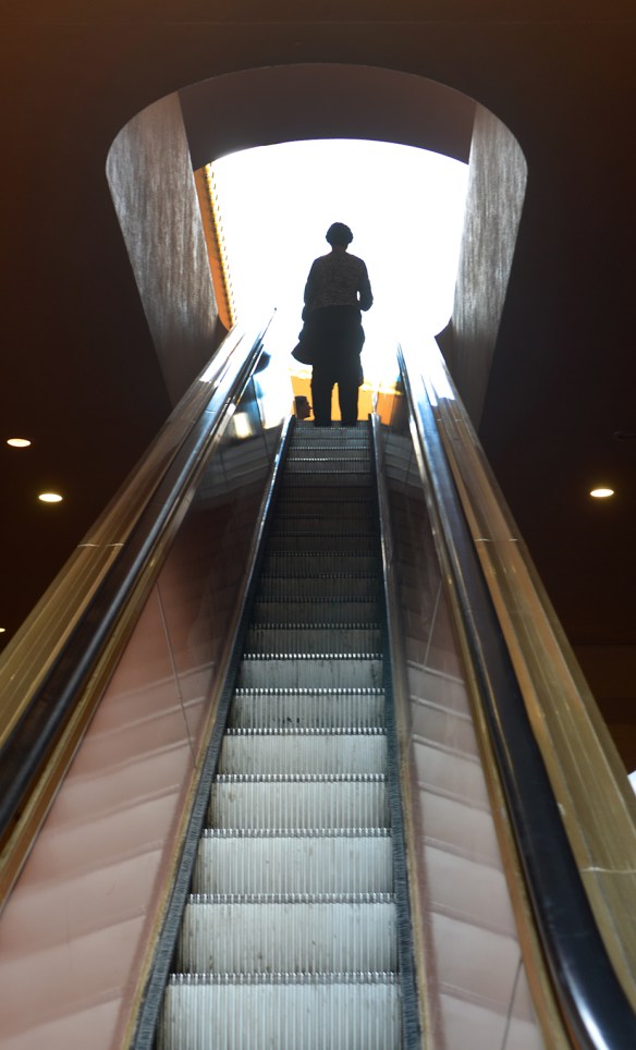 Marin County 2015 008.jpg