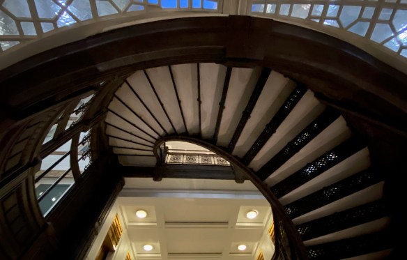 The Rookery 10.19.22 012.JPEG