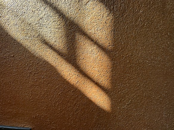 Hardy Shadows 4.20.23 001.jpg