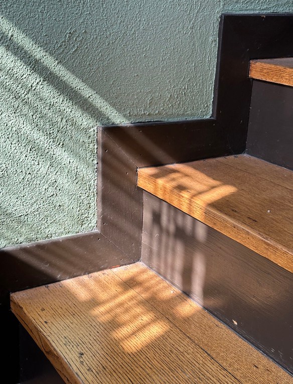 Hardy Shadows 4.20.23 009.jpg