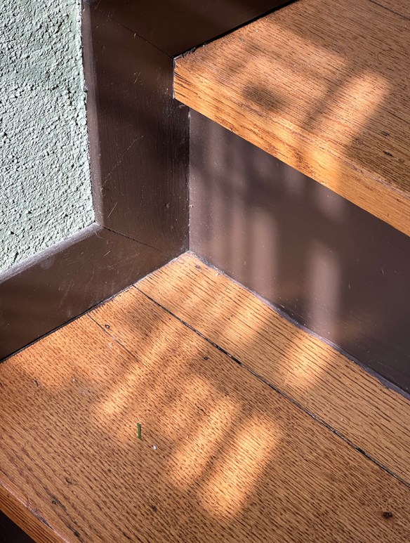 Hardy Shadows 4.20.23 010.jpg