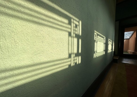 Hardy Shadows 4.20.23 011.jpg