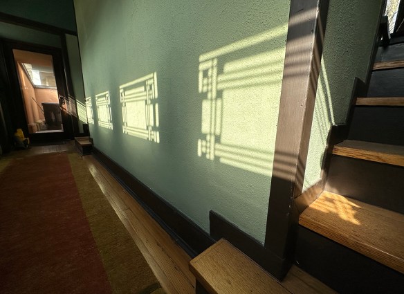 Hardy Shadows 4.20.23 012.jpg