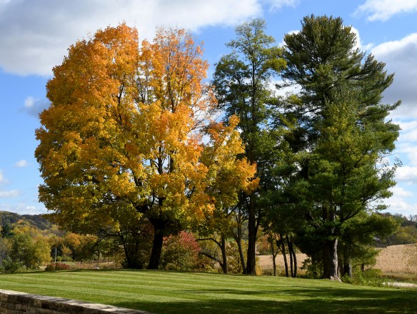 LR Hillside 10.20.23.jpg