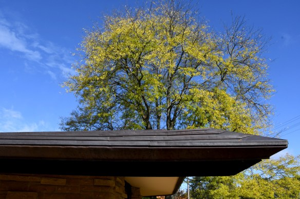 LR Unitarian Meeting House 10.20.23 030.jpg