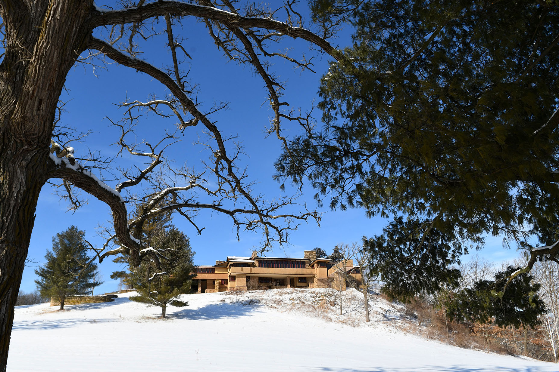 LR Taliesin 1.23.22 026.jpg