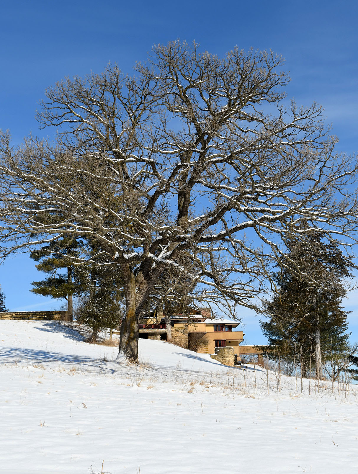 LR Taliesin 1.23.22 029.jpg