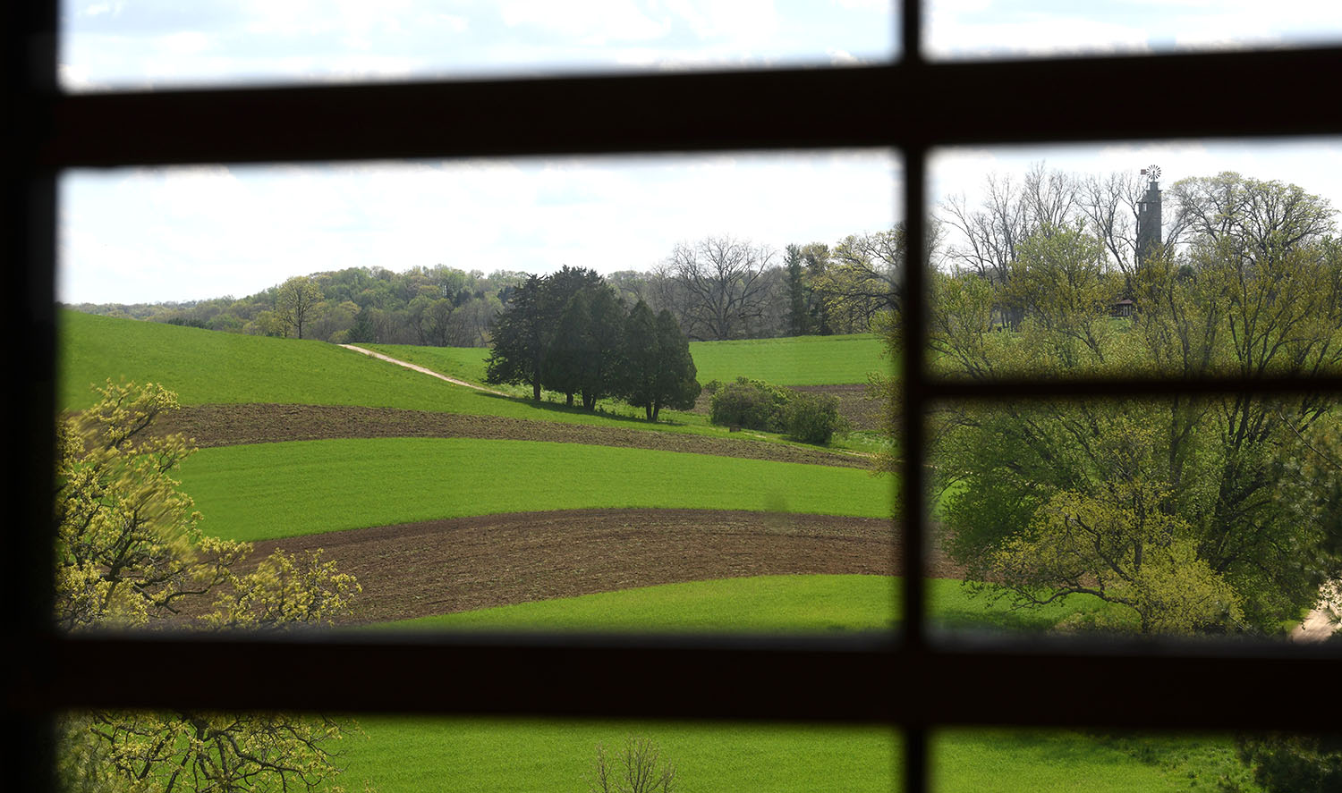 LR Taliesin 5.15.19 001.jpg