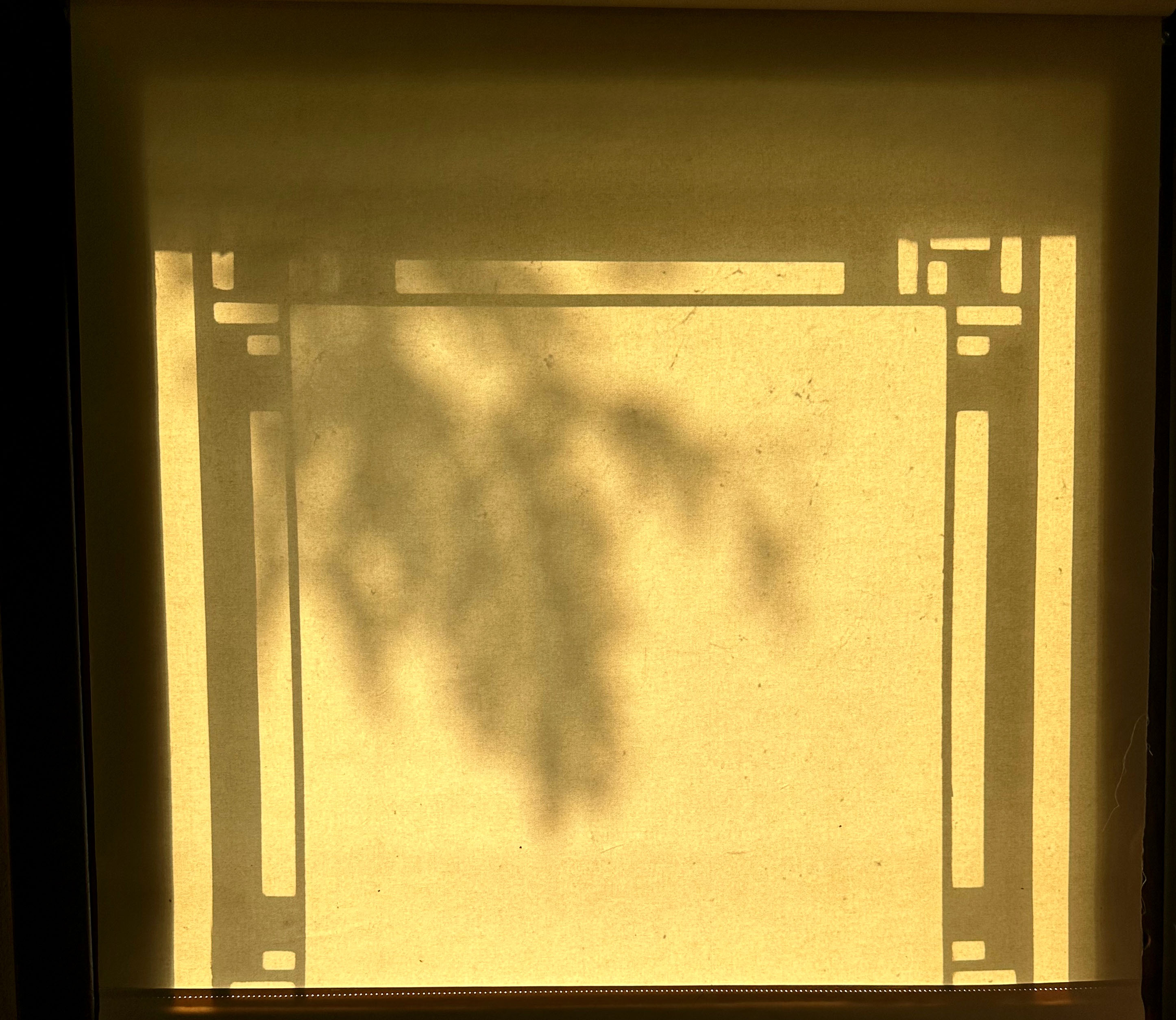 Wright Windows 001.jpg