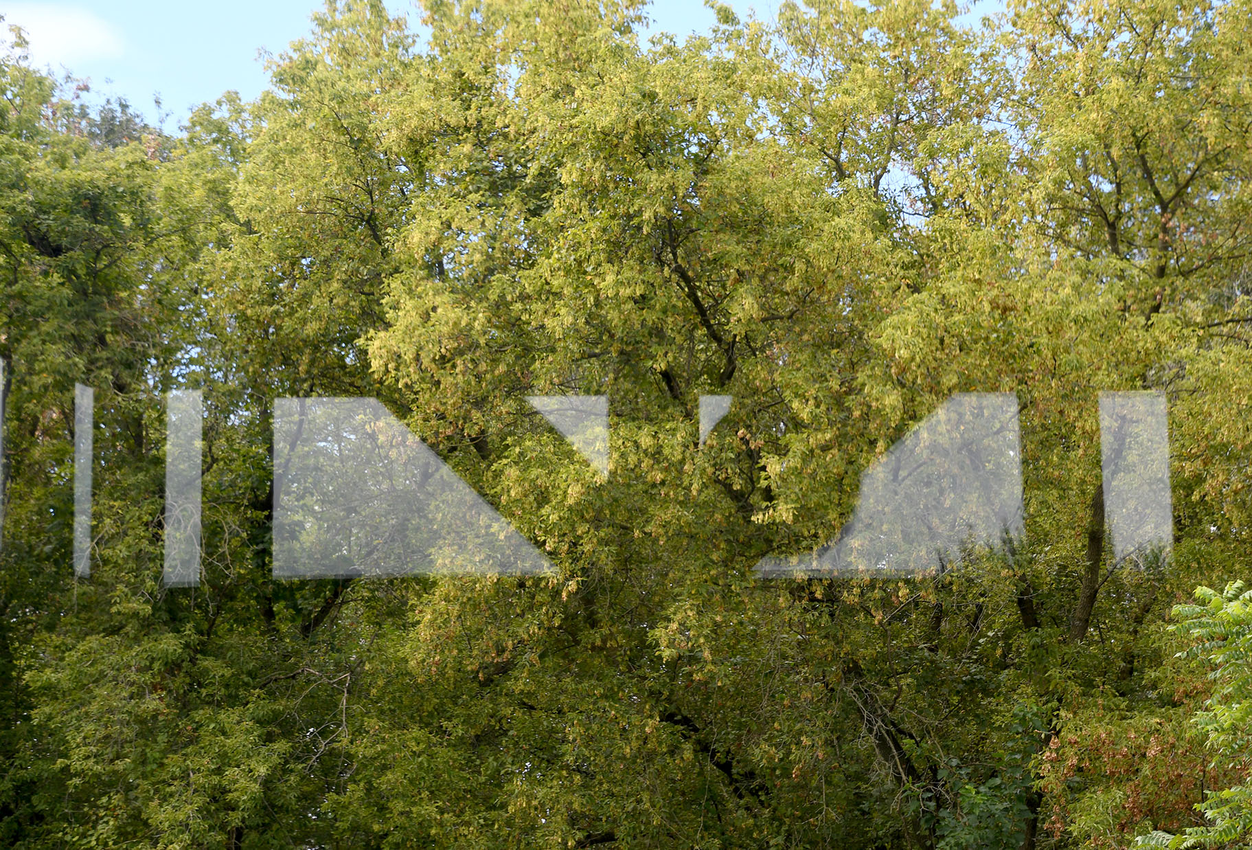 Wyoming Valley School 9.6.24 005.jpg