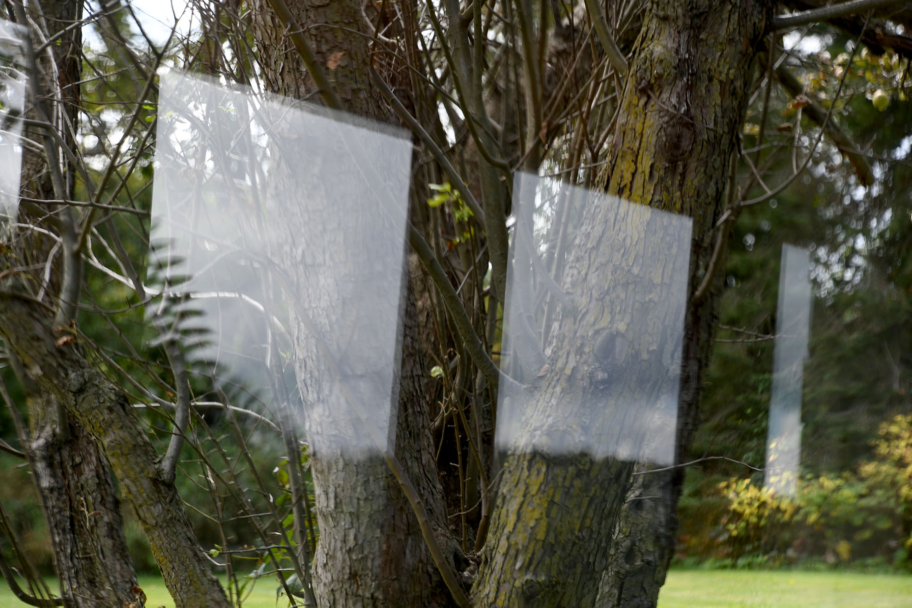 Wyoming Valley School 9.6.24 008.jpg