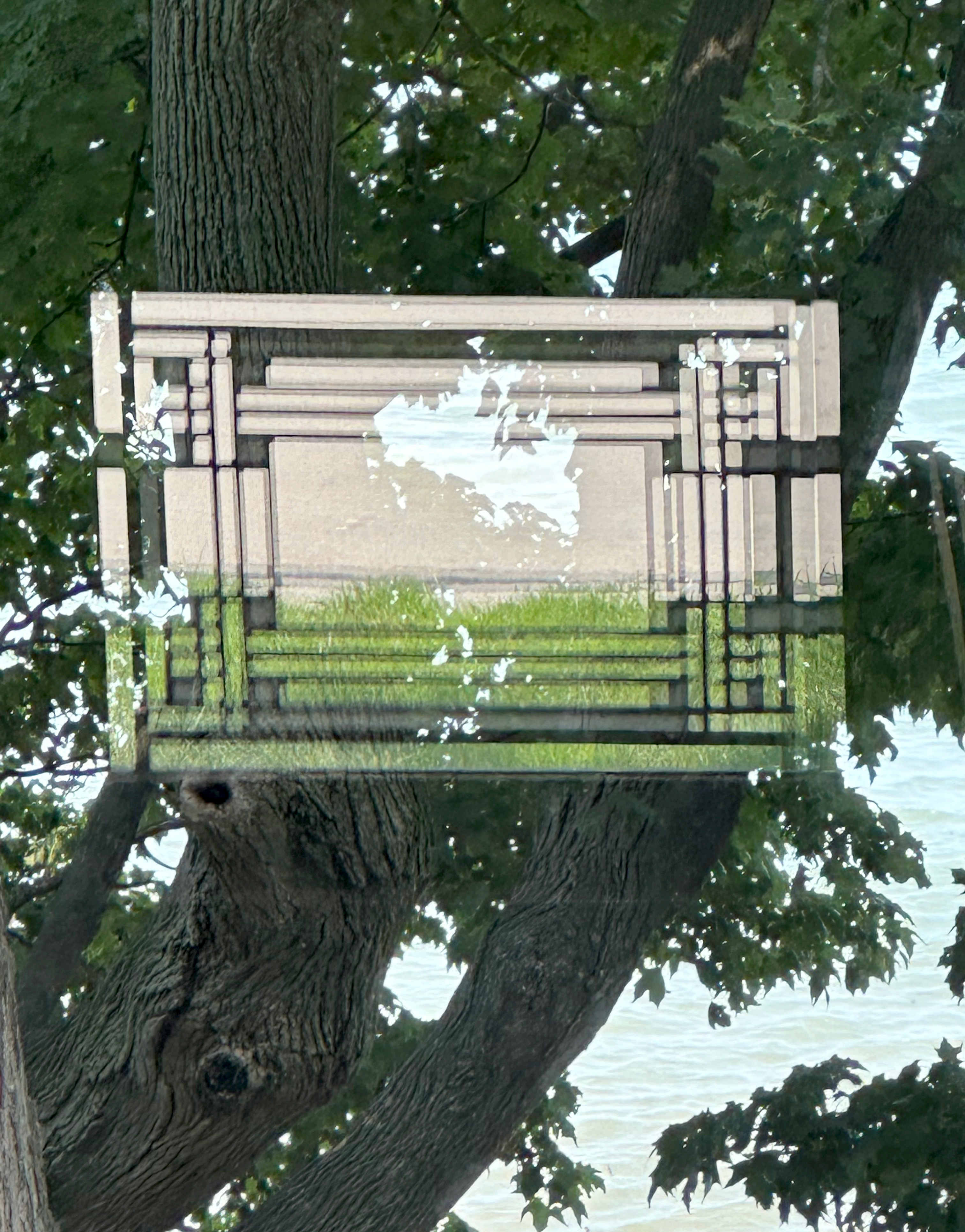 Hardy Shadow Play 8.5.25 001.JPEG