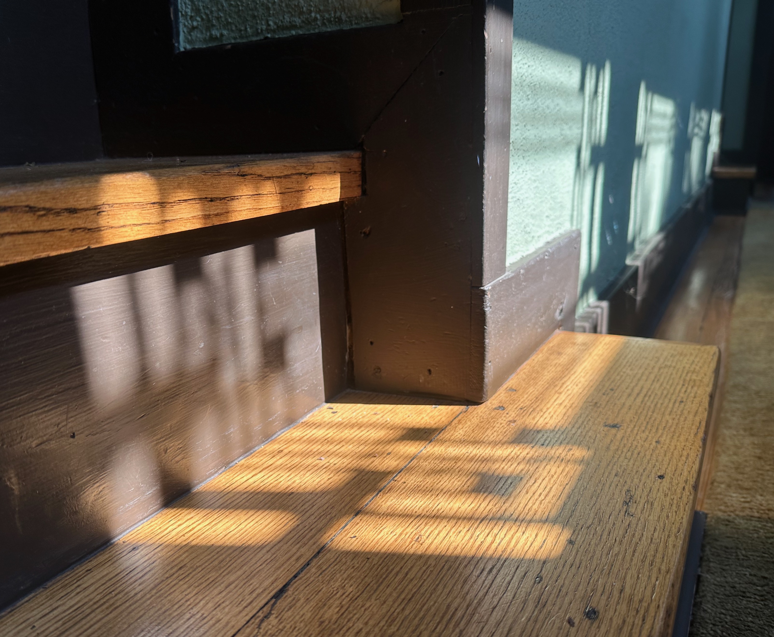 Hardy Shadow Play 8.5.25 003.JPEG