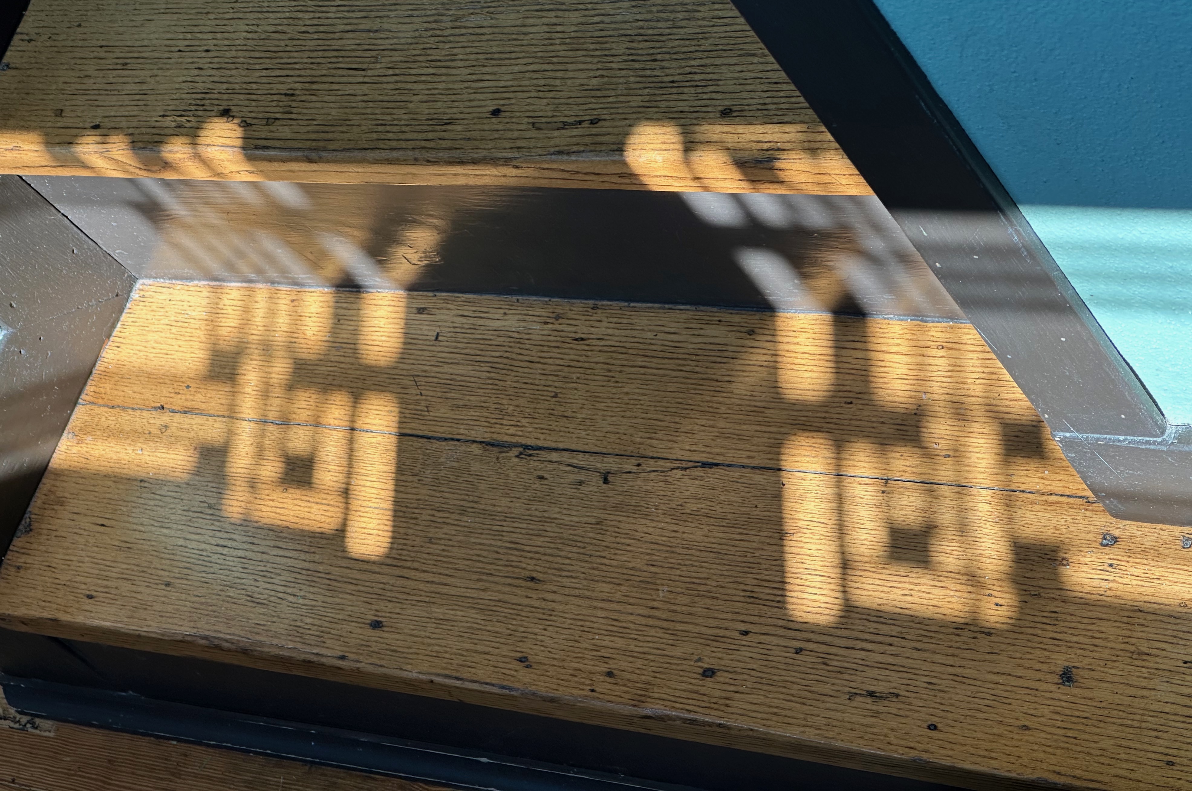 Hardy Shadow Play 8.5.25 007.JPEG