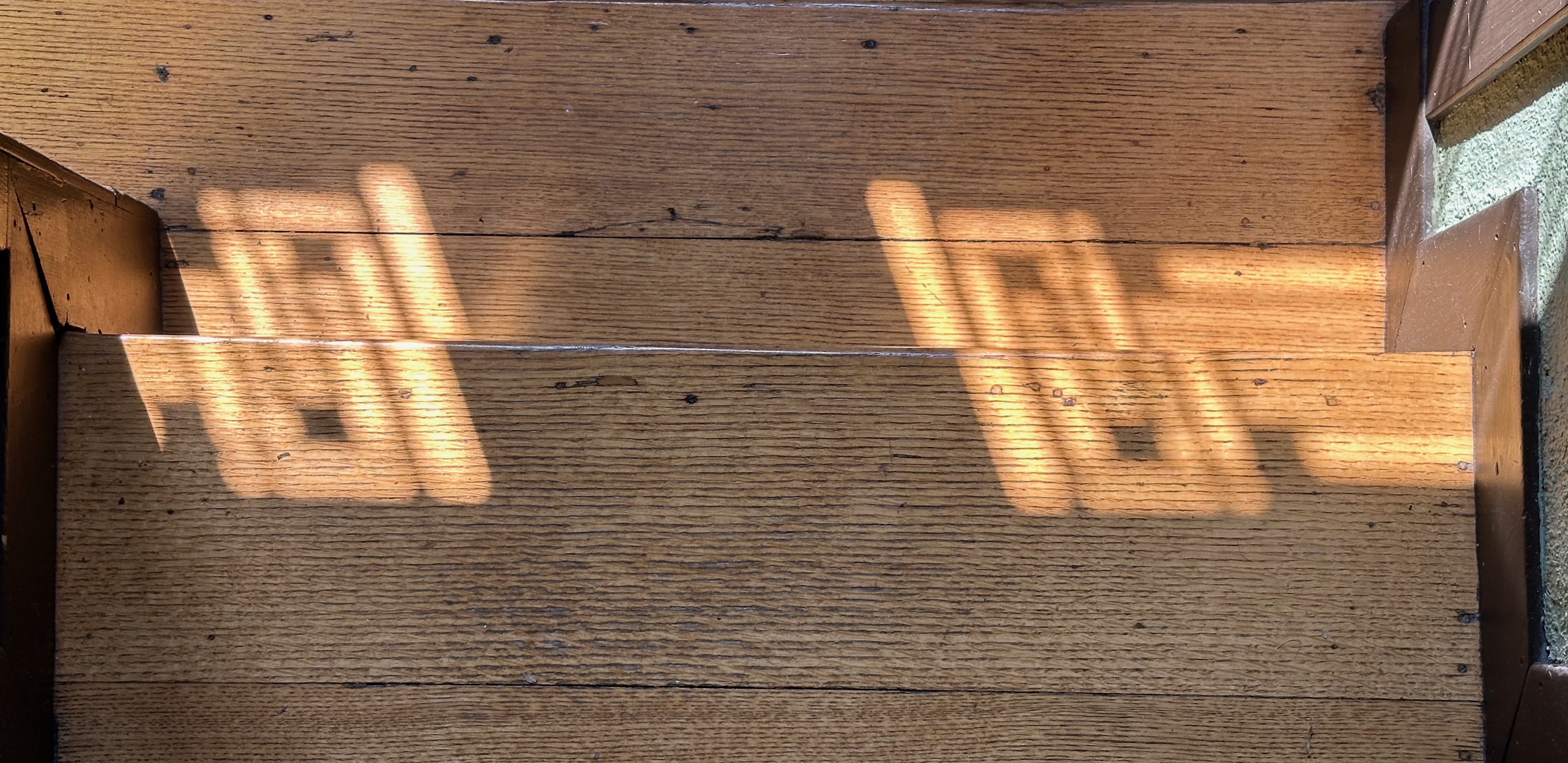 Hardy Shadow Play 8.5.25 008.JPEG