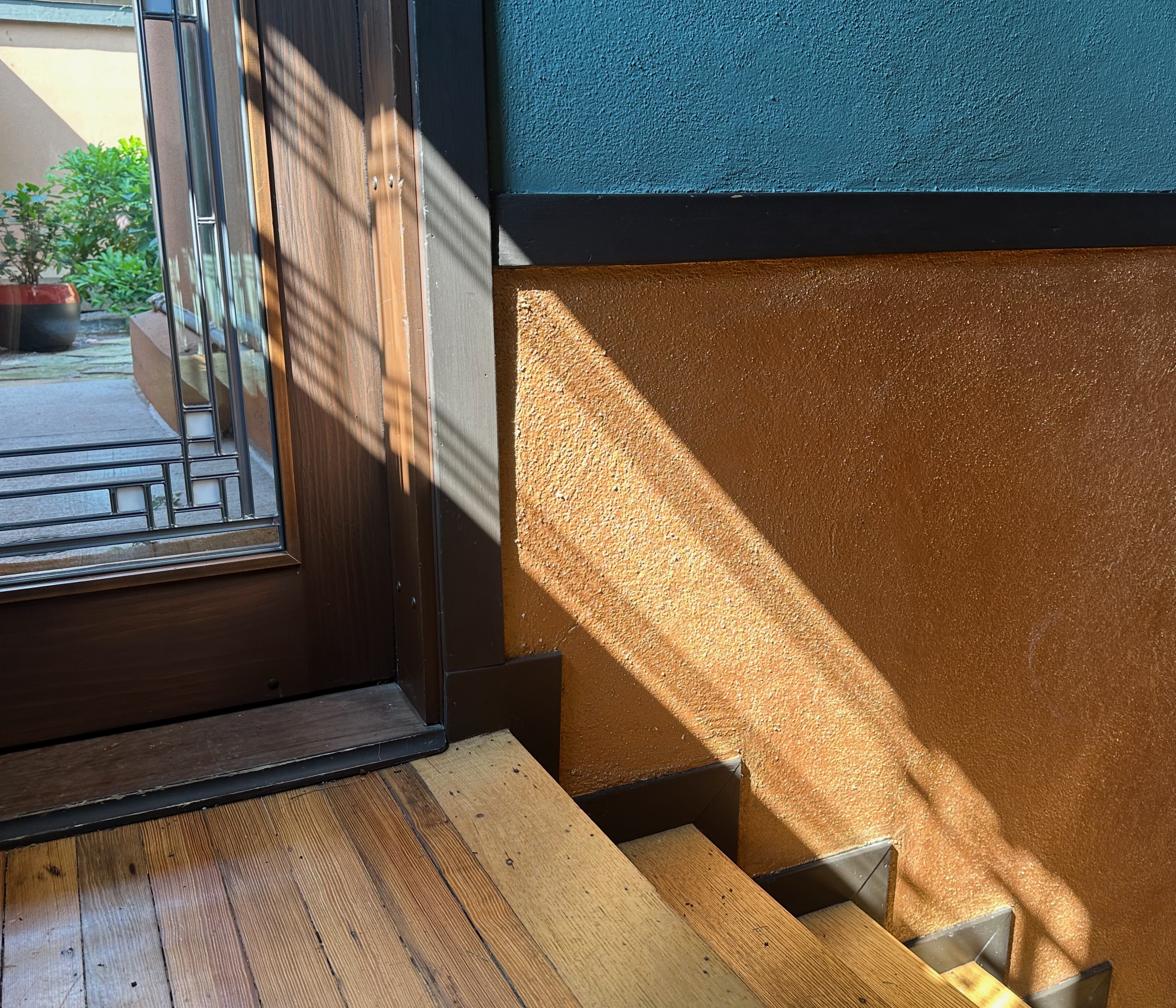 Hardy Shadow Play 8.5.25 009.JPEG