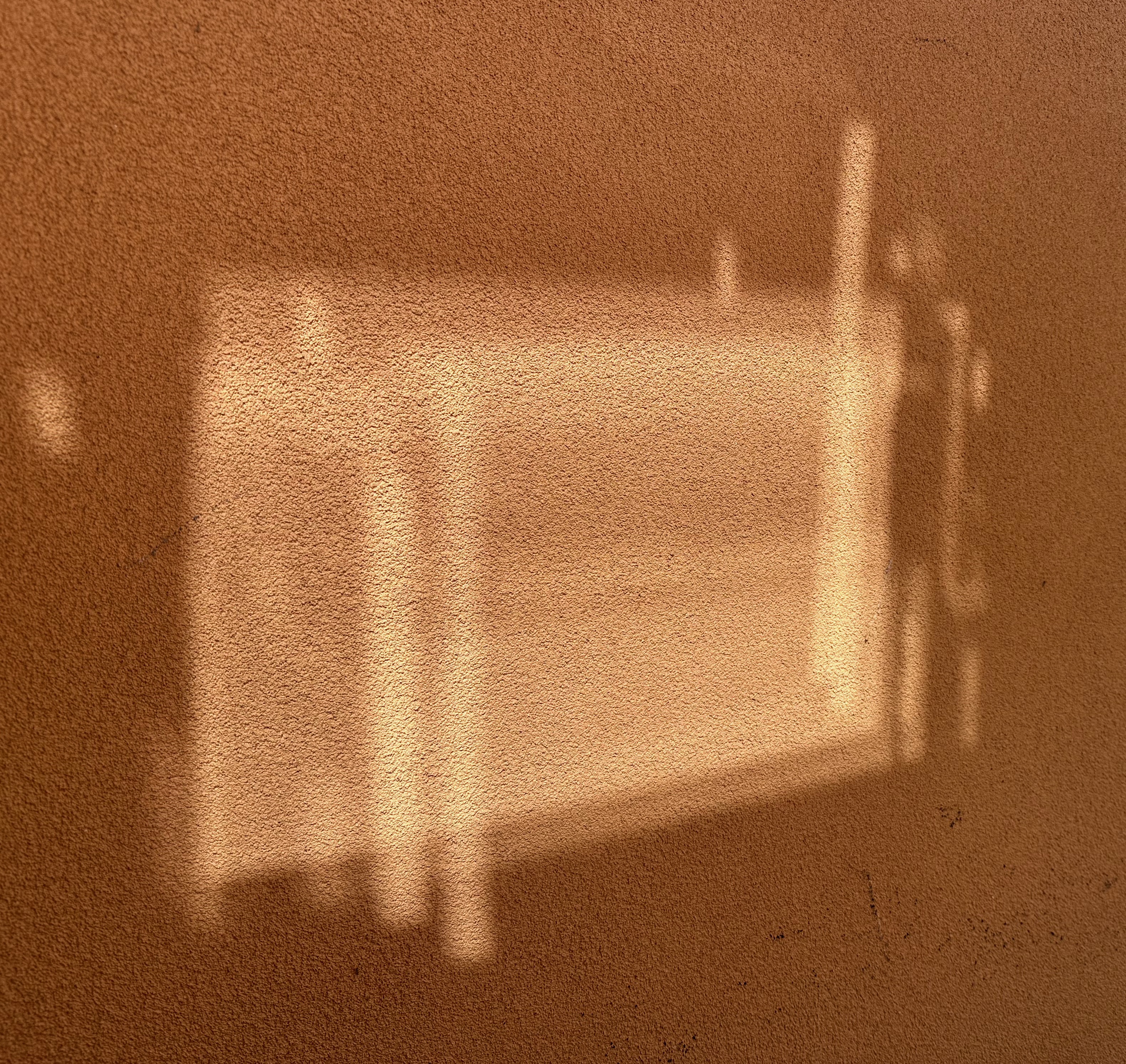 Hardy Shadow Play 8.5.25 010.JPEG