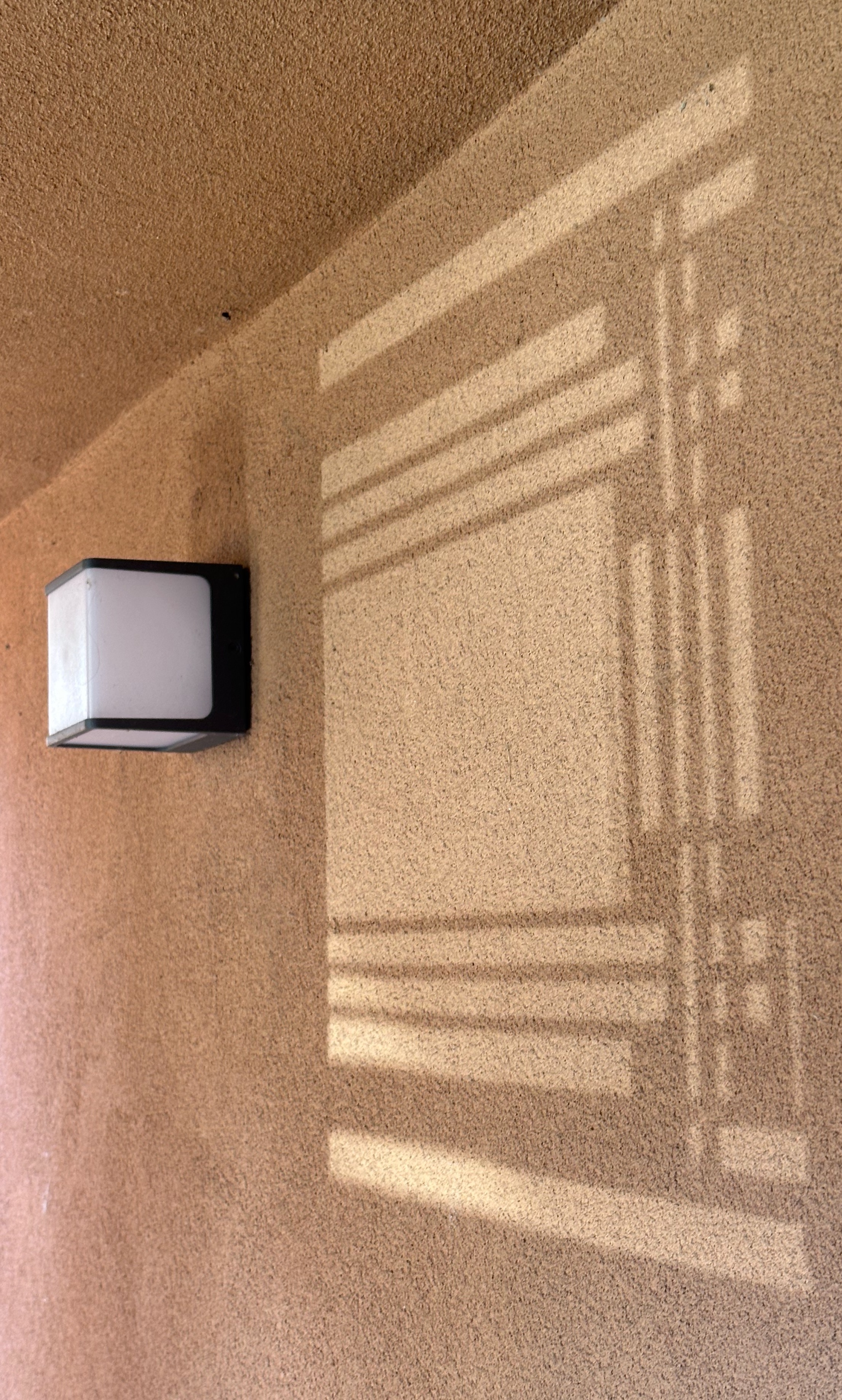 Hardy Shadow Play 8.5.25 011.JPEG